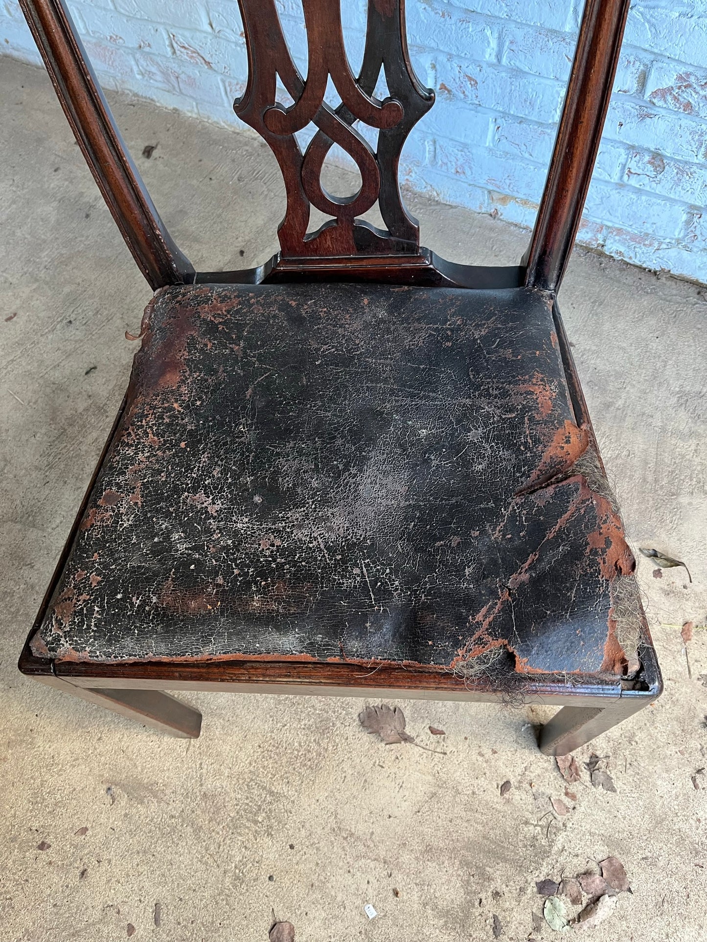 Large George III mahogany library, dining or side chair with original leather seat.