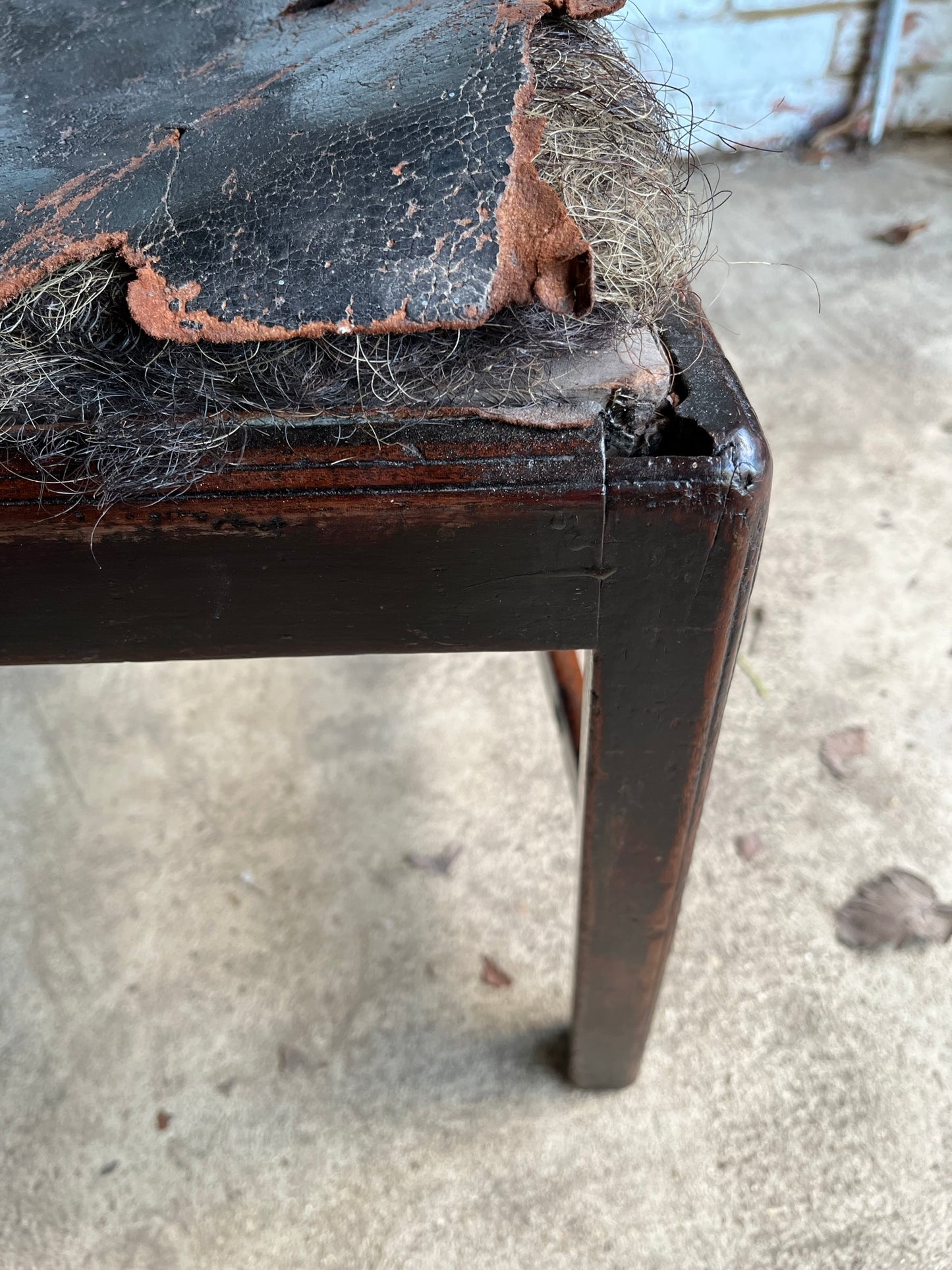 Large George III mahogany library, dining or side chair with original leather seat.