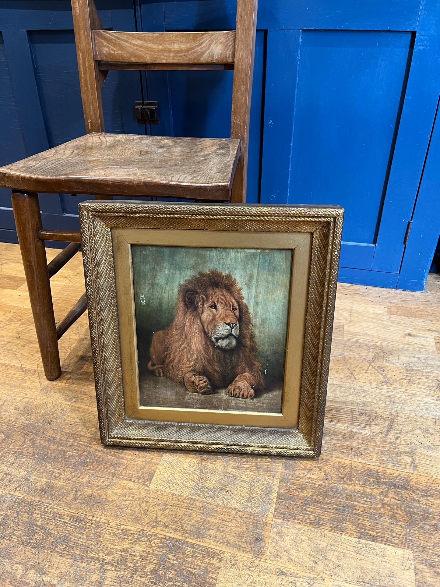 Framed study of a lion, oil on board, early 20th century, signed J. Roberts.