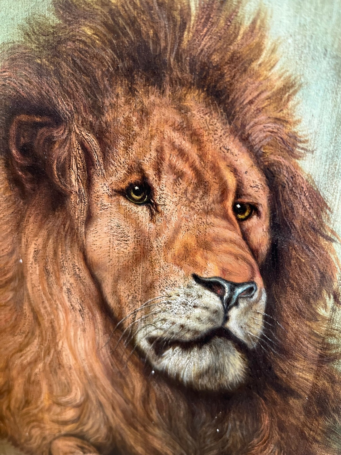 Framed study of a lion, oil on board, early 20th century, signed J. Roberts.