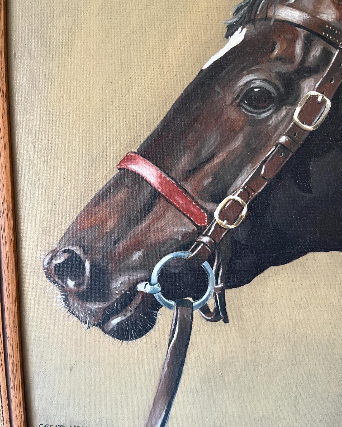 Oil painting of ‘Great Nephew’ race horse by John Nolan (b.1958, Irish)