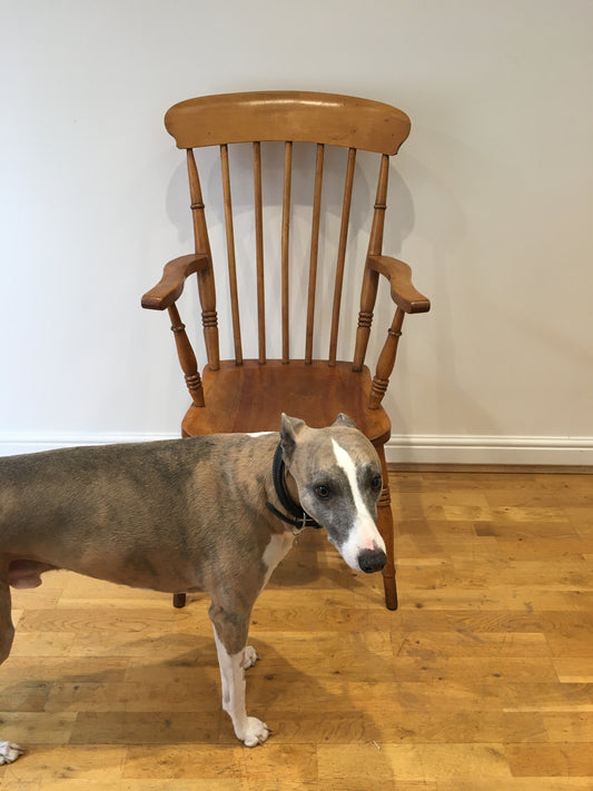 19th century farmhouse spindle-back Windsor chair