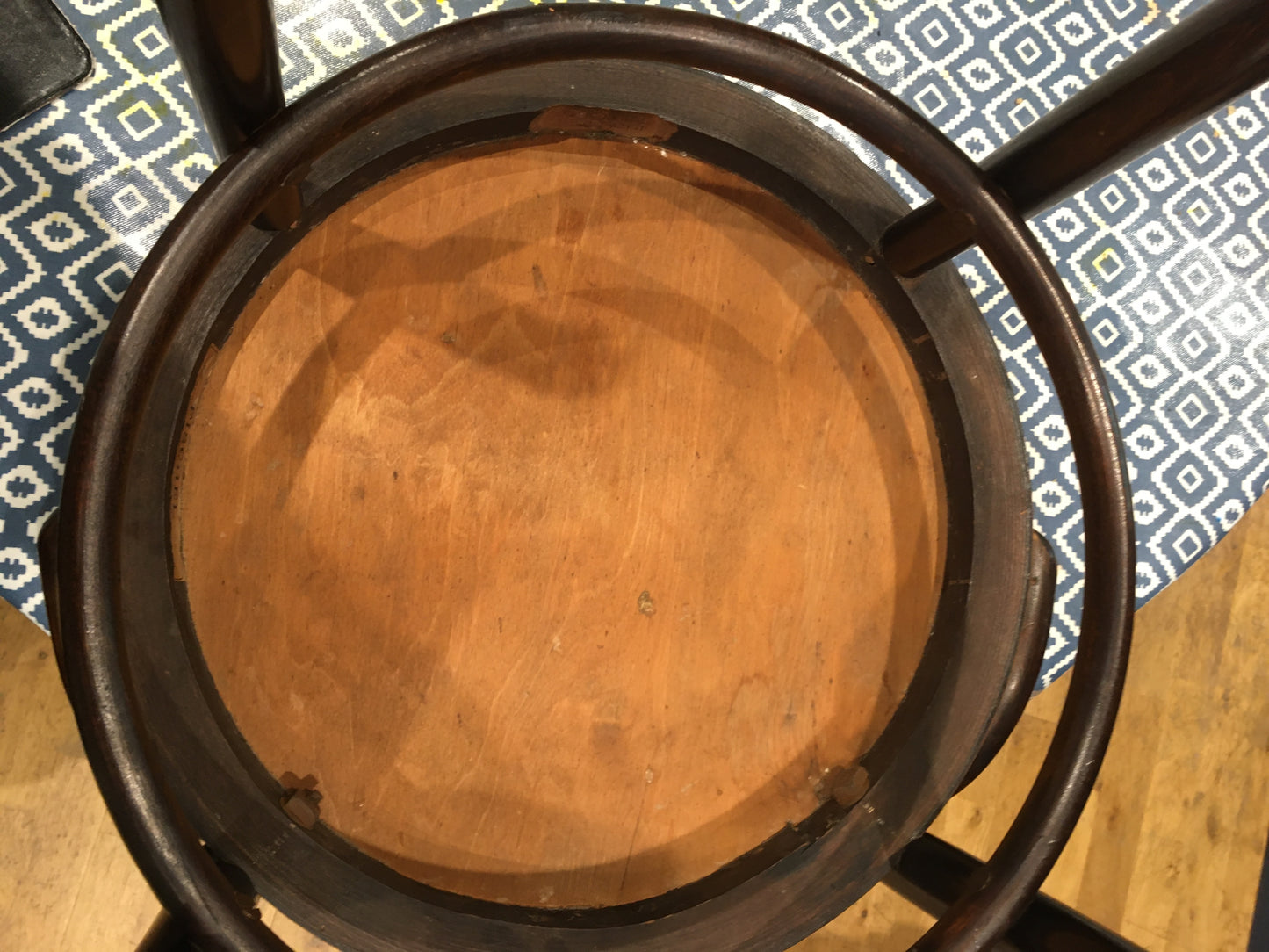 1920s bentwood carver chair by Fischel.