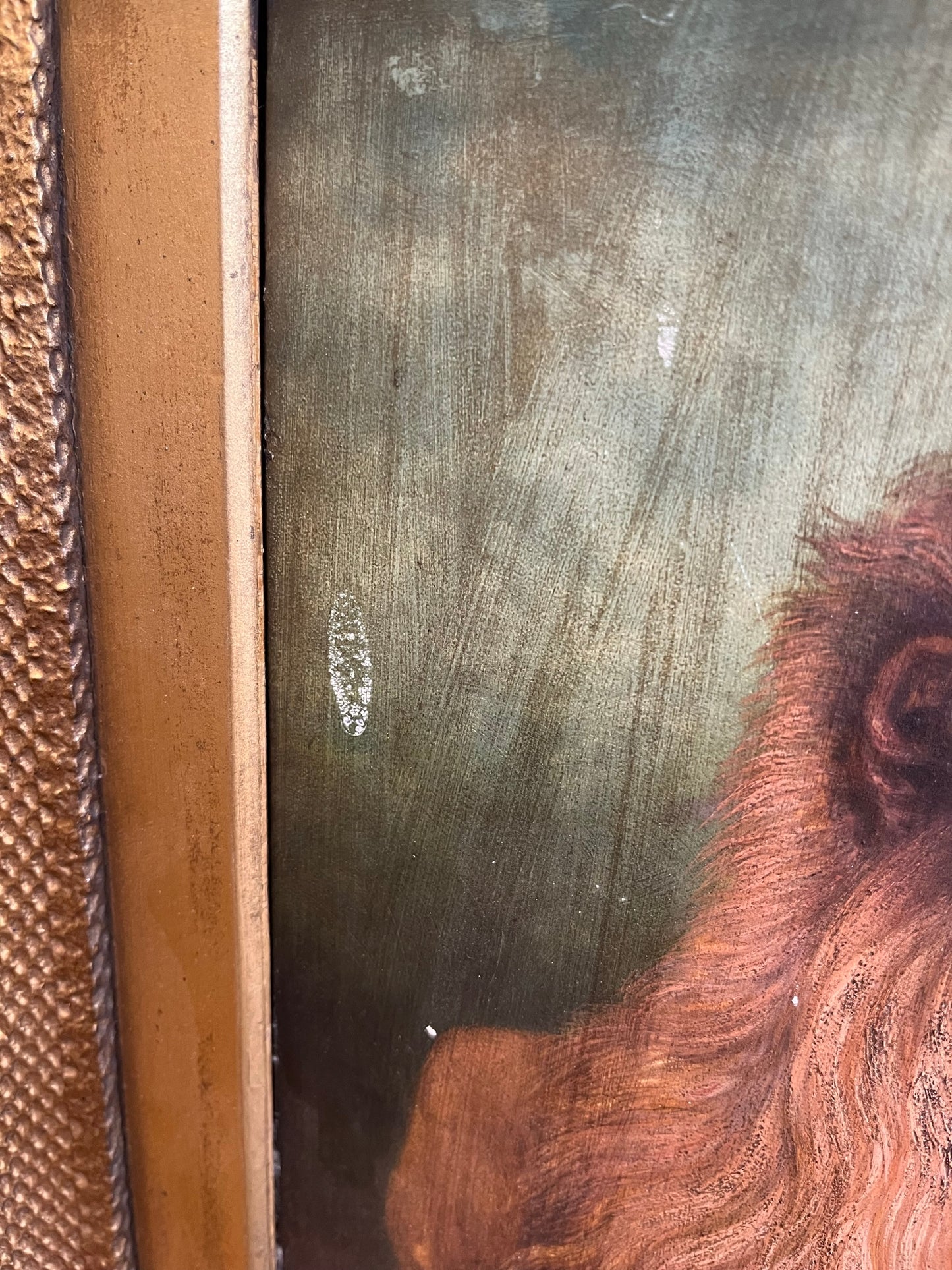 Framed study of a lion, oil on board, early 20th century, signed J. Roberts.
