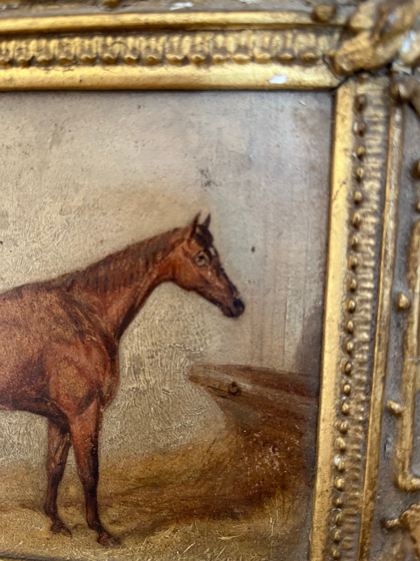 19th century naïve painting of a race horse, oil on board, framed.