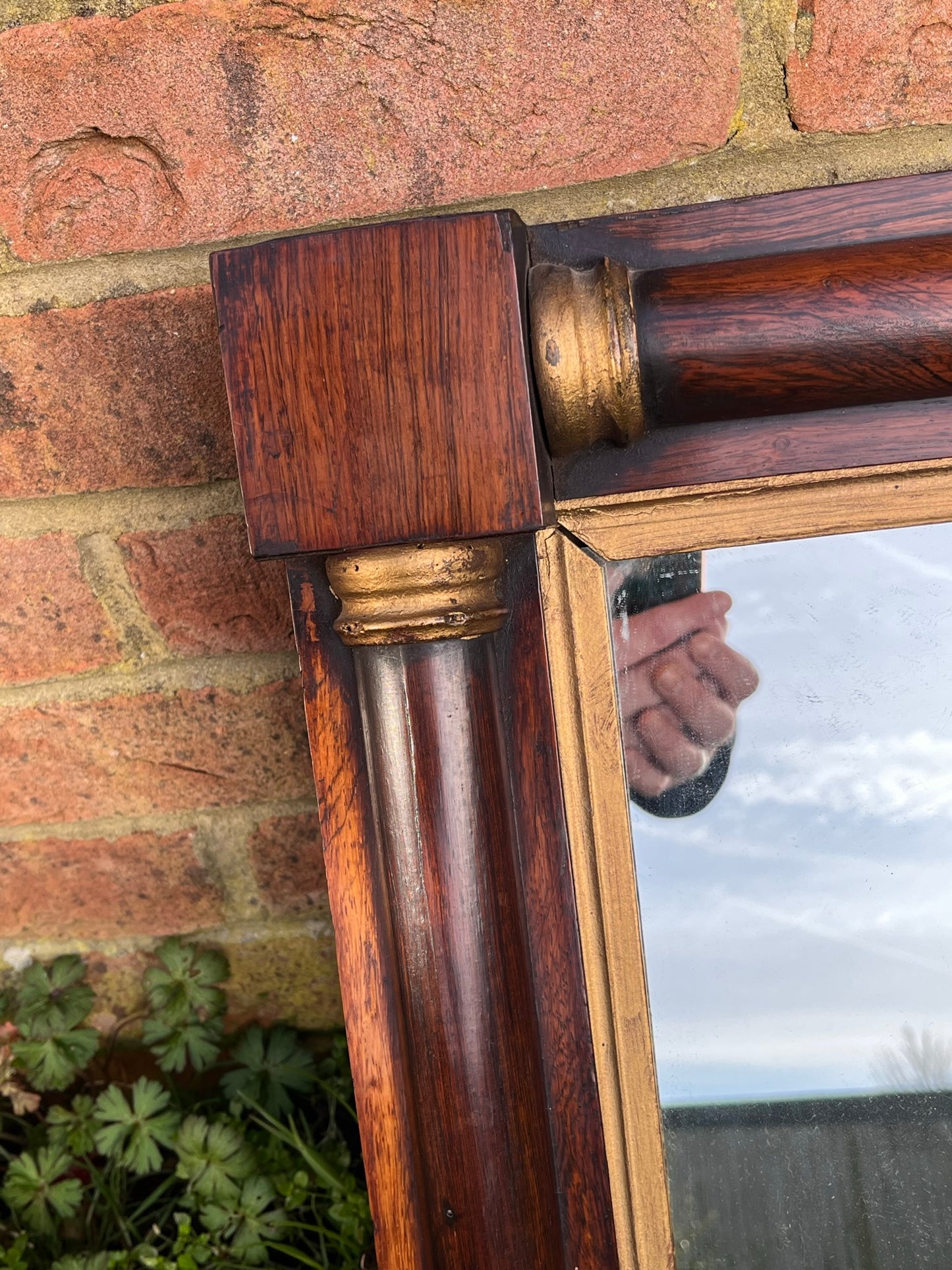Regency rosewood and gilt overmantle or wall mirror.